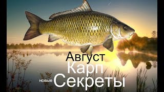 Как и на какие насадки ловли карпа в августе