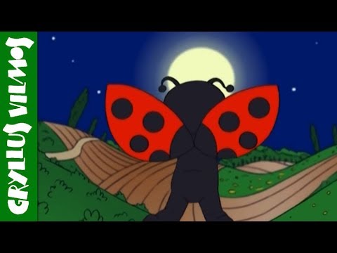 Gryllus Vilmos: Maszkabál - Katicabogár (rajzfilm, gyerekdal, mese, gyerekeknek)