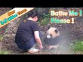 Panda Asks Nanny To Bathe Her | iPanda