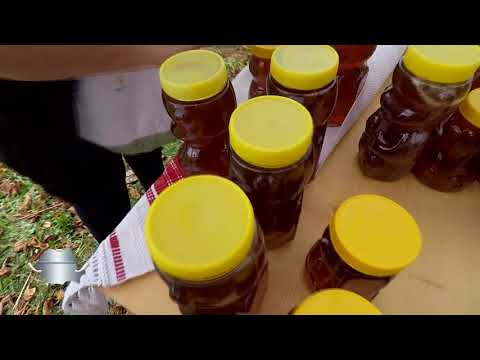 PLIMBAȚI ȘI MÂNCAȚI – Agenție de călătorie cu gastronomie / EP. 3