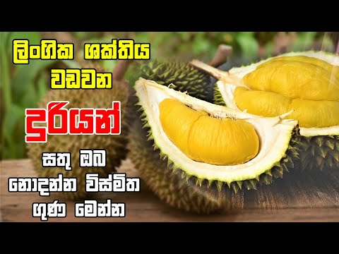 දුරියන් සතු ඔබ නොදන්න විස්මිත ගුණ මෙන්න | Duriyan | Lokayo with Sube