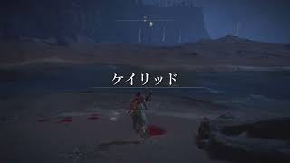 #16 ELDEN RING