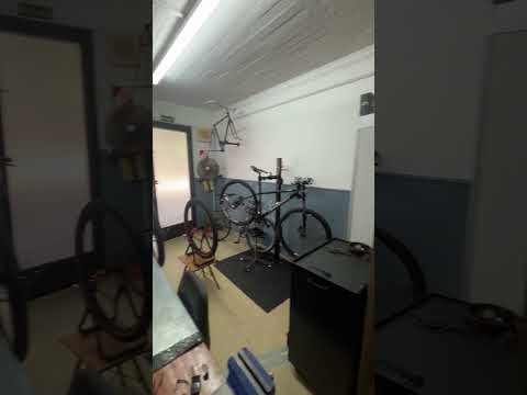 La paz 2022, Martínez, San Isidro, Bs As, Argentina.