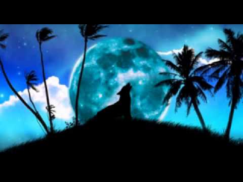 1117 Xamanica - Joseph Fire Crow - Wolf Song Edited