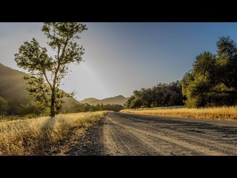 Tha Trickaz ✖ Dope DOD - Drop [FREE DOWNLOAD]