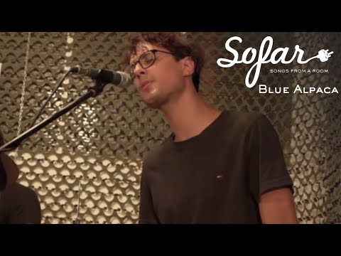 Blue Alpaca - Ocean | Sofar Udine