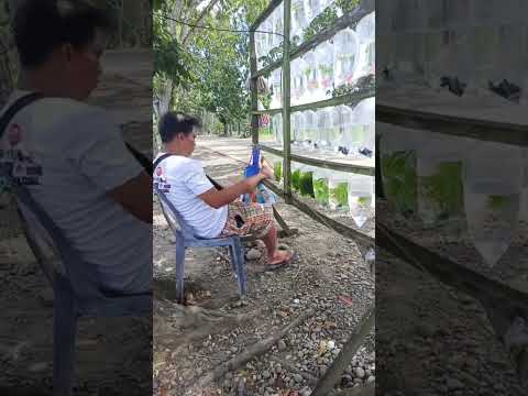 Highlight 1:00:51 - 1:05:50 from Ka Memo fam is live! Happy Road Watch