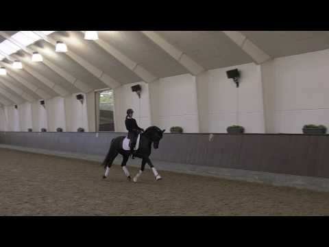 Future Jazz Dancer by Jazz/Florestan I born 2013