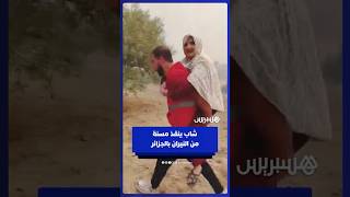 شاب يحمل مسنة فوق ظهره بعد وصول الحرائق إلى بلدية برج أخريص بالجزائر thumbnail