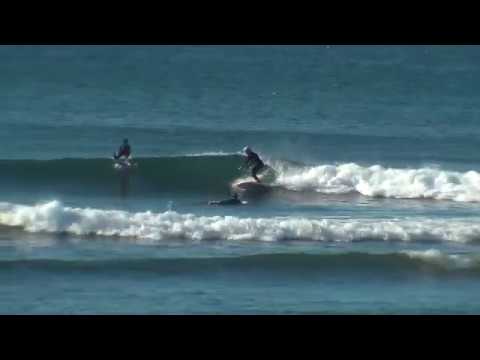 6 8 Mutant FishSup small waves