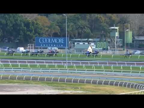 WINX 19th win - Chelmsford stakes