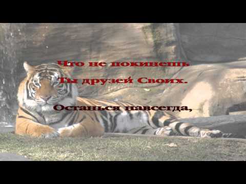 157 Со мной останься