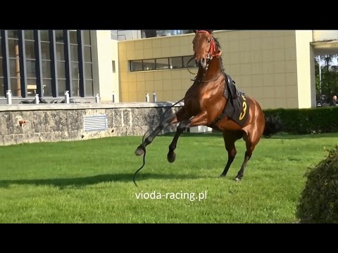 Nanon (Fly To The Stars - Night Dreams), 13.05.2017