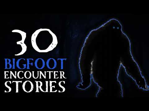 30 SCARY BIGFOOT SIGHTINGS - THEY LURK DEEP IN THE WOODS