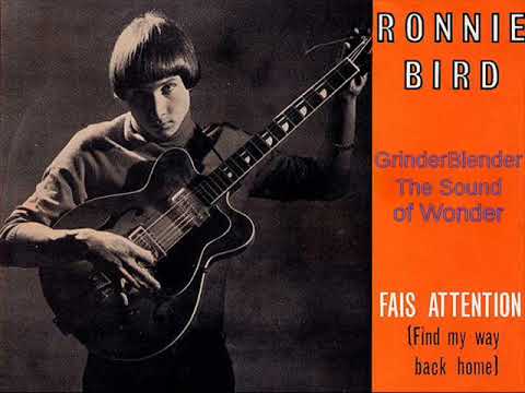 Ronnie Bird -Fais attention (les filles...) -GrinderBlender The Sound of Wonder