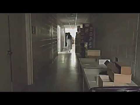 Yūrei, Japanese Ghost, at Morikami!