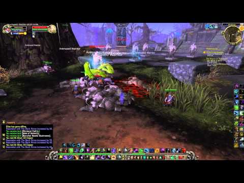 I Need a Champion - Wrathion Legendary Questline