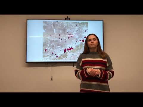 Burned areas detection after wildfires on satellite images