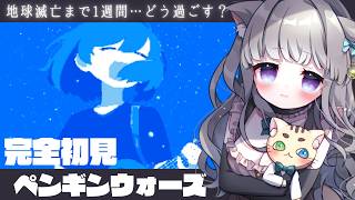 完全初見：ペンギンウォーズ【penguin wars】