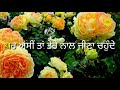Goodmorning Punjabi Love Shayari