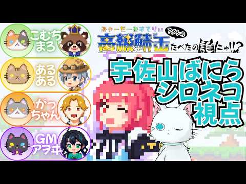 みゃーだーみすてりぃ『アタシの高級鯖缶たべたの誰にゃ!!?【シロネコ・宇佐山視点】※ネタバレ注意