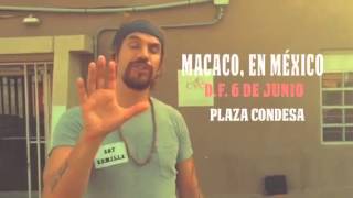 Macaco anuncia la presentación de "Historias Tattooadas" en DF