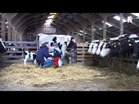 Rijnmond Nieuws - 11 februari 2013