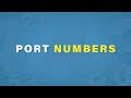 Port Numbers Explained Cisco CCNA 200 301