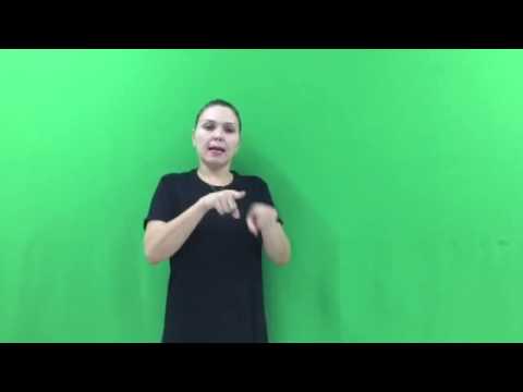 Wikisigns org LIBRAS Língua de Sinais Brasileira 4757 irmao   brother