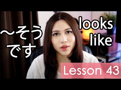 Learn Japanese | Minna No Nihongo Lesson 43 Grammar