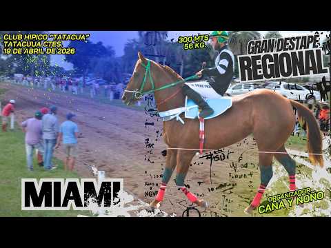 MIAMI...Gran Destape Regional - Hipico Tatacua 19/04/2026 -