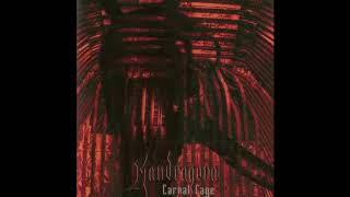 Mandragora - Unconsciousness [Official Audio]