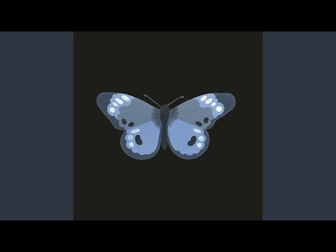 Butterfly video
