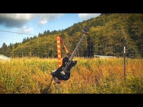 Giants in the Trees - Seed Song (Official Video)