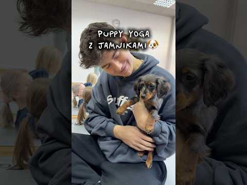 Wolicie KOTY czy PSY…?