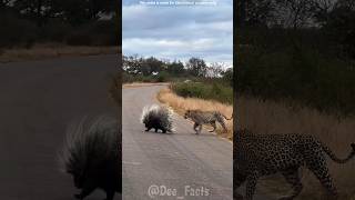 Download lagu #firtana mp3