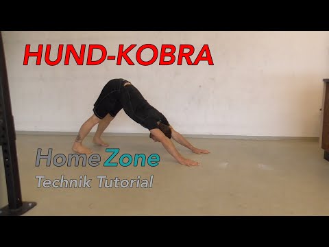 HomeZone | Hund-Kobra | Technik Tutorial