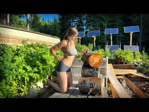 , title : 'YOUNG MOM ALONE & OFF GRID | HOT DAY SWIM in River & Lake- WILDERNESS GARDEN & SOLAR PANELS - Ep.156'