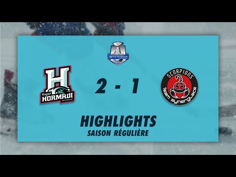 Anglet Hormadi 2-1 Scorpions de Mulhouse - Highlights - Synerglace Ligue Magnus 2022/23