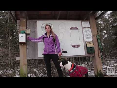 1-minute hike: Woodlawn in Ellsworth