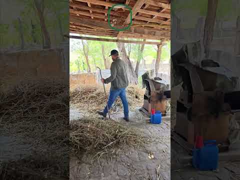 🌾 FAZENDA MOURARIA – SOLO MINERALIZADO E EXCELENTE CUSTO-BENEFÍCIO NO CARIRI PARAIBANO 🌾