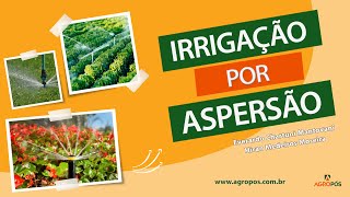 Irrigação por aspersão: como funciona o sistema
