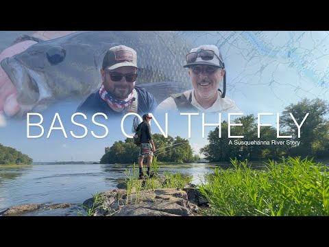 Bass On The Fly (A Susquehanna River Story)