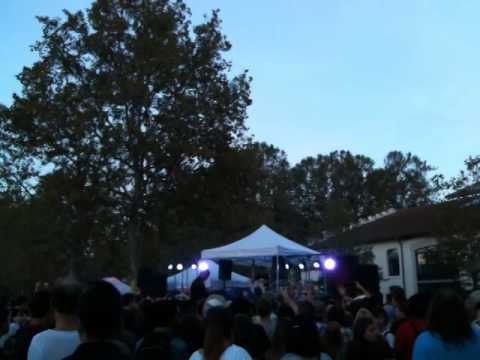 Laurent Chanal @ Electro Garden - Lyon