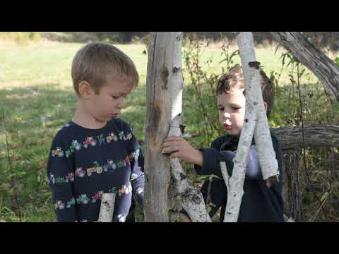 Vargyas, Transylvania, Romania