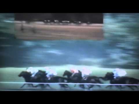 Nagroda Derby - 7.07.1991 - Kliwia  (Pyjama Hunt - Knieja)