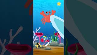 Sea creatures dolphin  turtle  crab  squid  whale