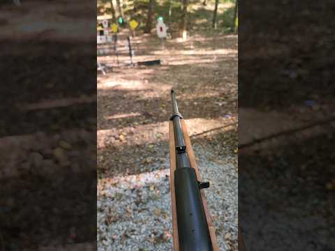 Fastest Ruger 10/22 in the world.