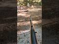 Fastest Ruger 10/22 in the world.