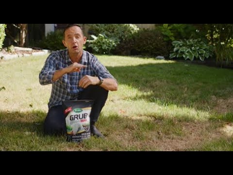 How To Get Rid of Grubs with Scotts® Grub B Gon MAX® Grub Killer